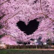 ヒメ日記 2025/05/01 16:46 投稿 まゆみ ファーストレディ(博多)