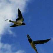 ヒメ日記 2025/05/10 14:05 投稿 まゆみ ファーストレディ(博多)