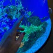 ヒメ日記 2025/05/14 15:15 投稿 まゆみ ファーストレディ(博多)