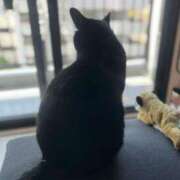 ヒメ日記 2025/06/05 09:09 投稿 まゆみ ファーストレディ(博多)