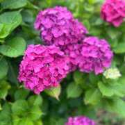 ヒメ日記 2025/06/22 08:40 投稿 まゆみ ファーストレディ(博多)