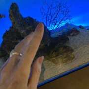 ヒメ日記 2025/07/23 16:45 投稿 まゆみ ファーストレディ(博多)