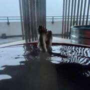 ヒメ日記 2025/08/04 09:02 投稿 まゆみ ファーストレディ(博多)