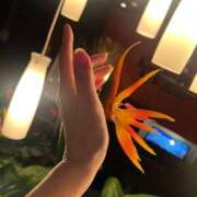 ヒメ日記 2025/08/14 11:54 投稿 まゆみ ファーストレディ(博多)