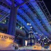 ヒメ日記 2025/11/14 22:45 投稿 まゆみ ファーストレディ(博多)