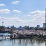 ヒメ日記 2025/04/06 09:37 投稿 ゆりな 熟女家 東大阪店（布施・長田）