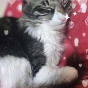 ヒメ日記 2025/08/03 09:35 投稿 ゆりな 熟女家 東大阪店（布施・長田）