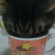 ヒメ日記 2026/01/20 20:35 投稿 ゆりな 熟女家 東大阪店（布施・長田）