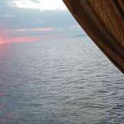 ヒメ日記 2025/01/04 10:41 投稿 宮本 咲耶 超LEXUS