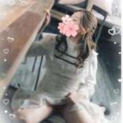 ヒメ日記 2025/01/07 11:27 投稿 宮本 咲耶 超LEXUS