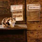 ヒメ日記 2025/01/13 11:41 投稿 宮本 咲耶 超LEXUS