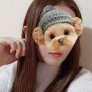 ヒメ日記 2025/03/31 12:31 投稿 宮本 咲耶 超LEXUS