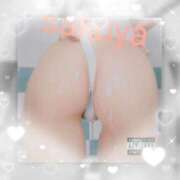 ヒメ日記 2025/10/24 09:02 投稿 宮本 咲耶 超LEXUS