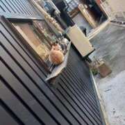 宮本 咲耶 可愛いが渋滞してます♡ 超LEXUS