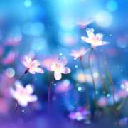 ヒメ日記 2025/04/03 17:12 投稿 みほ 若妻淫乱倶楽部