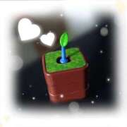 ヒメ日記 2026/03/13 06:00 投稿 みほ 若妻淫乱倶楽部