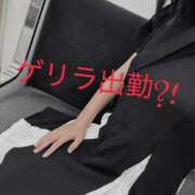 ヒメ日記 2025/07/20 19:14 投稿 くう 奥鉄オクテツ兵庫