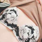 ヒメ日記 2025/07/21 11:50 投稿 くう 奥鉄オクテツ兵庫