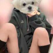 ヒメ日記 2024/12/12 19:35 投稿 さやか アイドルチェッキーナ本店