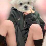 ヒメ日記 2025/03/01 11:14 投稿 さやか アイドルチェッキーナ本店