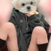 ヒメ日記 2026/03/13 17:26 投稿 さやか アイドルチェッキーナ本店