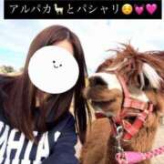 ヒメ日記 2026/03/18 20:53 投稿 ♪はるな ☆殿堂入り☆ 水色りぼん