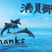 ヒメ日記 2024/06/22 16:06 投稿 みさと 川崎・東横人妻城