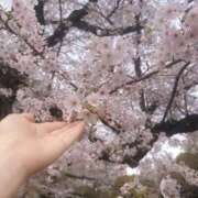 ヒメ日記 2026/03/30 10:44 投稿 瀬里奈 東京人妻フォーシーズンズ