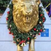 ヒメ日記 2024/12/24 14:06 投稿 まお ゴールドフィンガー