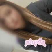 ヒメ日記 2024/12/28 15:20 投稿 ちとせ 電車ごっこ