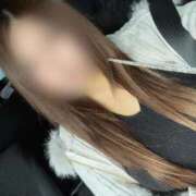 ヒメ日記 2025/03/02 08:50 投稿 ちとせ 電車ごっこ