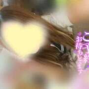 ヒメ日記 2025/07/13 09:00 投稿 ちとせ 電車ごっこ