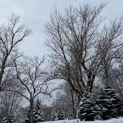 ヒメ日記 2026/02/07 23:48 投稿 ちとせ 電車ごっこ