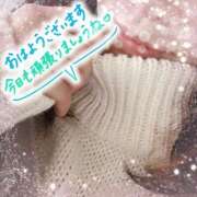 ヒメ日記 2025/01/17 09:43 投稿 ひな エレガンス(広島)