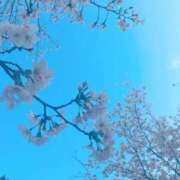 ヒメ日記 2025/04/03 19:23 投稿 ひな エレガンス(広島)