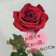 ヒメ日記 2025/05/17 18:08 投稿 ひな エレガンス(広島)