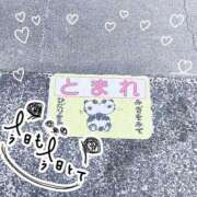 ヒメ日記 2025/06/30 08:08 投稿 ひな エレガンス(広島)