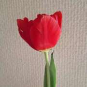 ヒメ日記 2025/01/16 14:42 投稿 りお エレガンス(広島)