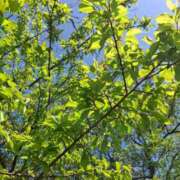 ヒメ日記 2025/05/04 22:38 投稿 りお エレガンス(広島)