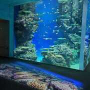 ヒメ日記 2025/05/07 10:48 投稿 りお エレガンス(広島)