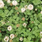 ヒメ日記 2025/05/21 10:28 投稿 りお エレガンス(広島)