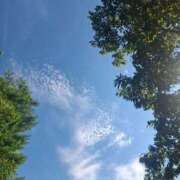 ヒメ日記 2025/08/04 09:15 投稿 りお エレガンス(広島)