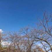 ヒメ日記 2025/12/18 13:45 投稿 りお エレガンス(広島)