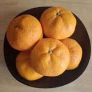 ヒメ日記 2026/01/19 22:08 投稿 りお エレガンス(広島)