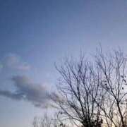 ヒメ日記 2026/01/31 16:33 投稿 りお エレガンス(広島)