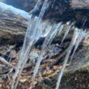 ヒメ日記 2024/12/31 21:46 投稿 じゅんな 奥様メモリアル