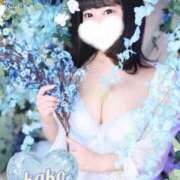 ヒメ日記 2025/05/16 18:47 投稿 かこ 池袋人妻ヒットパレード（シンデレラグループ）