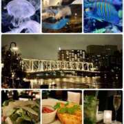 ヒメ日記 2024/12/17 13:00 投稿 喜多川光(きたがわひかり) 鶯谷ナンバーワン