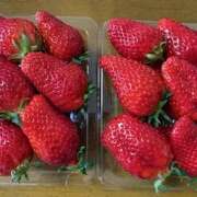 くるみ ♡おはよう♡ 人妻日記2nd