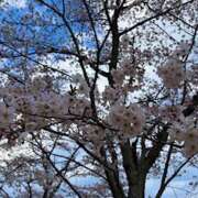 ヒメ日記 2026/04/06 09:18 投稿 くるみ 人妻日記2nd